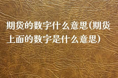 期货的数字什么意思(期货上面的数字是什么意思)_https://www.boyangwujin.com_期货直播间_第1张