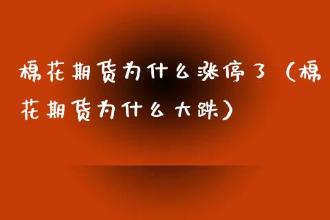 棉花期货为什么涨停了（棉花期货为什么大跌）_https://www.boyangwujin.com_期货直播间_第1张