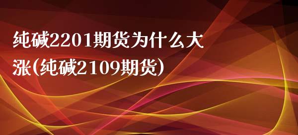 纯碱2201期货为什么大涨(纯碱2109期货)