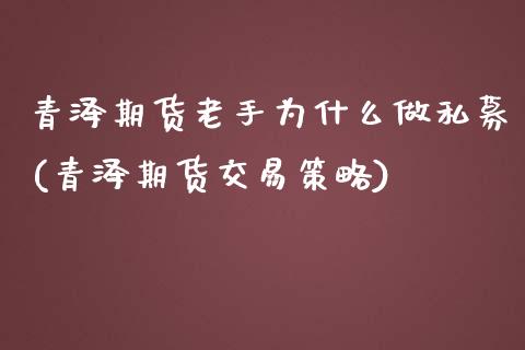 青泽期货老手为什么做私募(青泽期货交易策略)_https://www.boyangwujin.com_原油期货_第1张