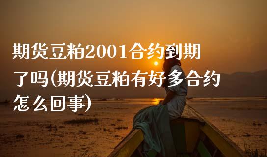 期货豆粕2001合约到期了吗(期货豆粕有好多合约怎么回事)_https://www.boyangwujin.com_期货直播间_第1张