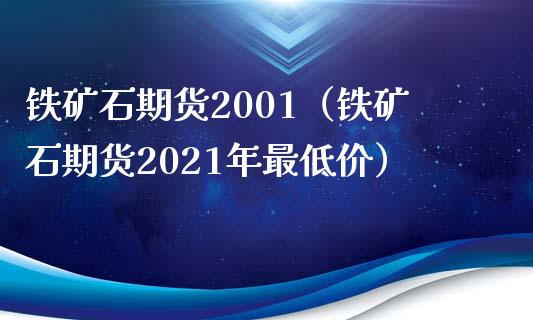 铁矿石期货2001（铁矿石期货2021年最低价）