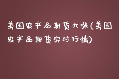 美国农产品期货大涨(美国农产品期货实时行情)