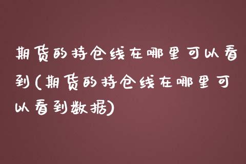 期货的持仓线在哪里可以看到(期货的持仓线在哪里可以看到数据)