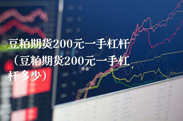 豆粕期货200元一手杠杆（豆粕期货200元一手杠杆多少）