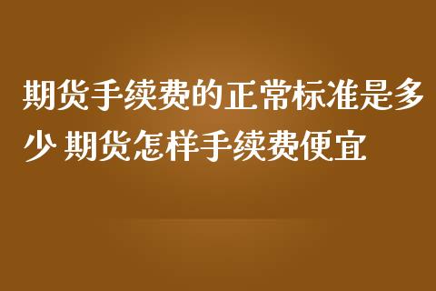 期货手续费的正常标准是多少 期货怎样手续费便宜