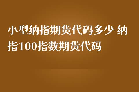 小型纳指期货代码多少 纳指100指数期货代码