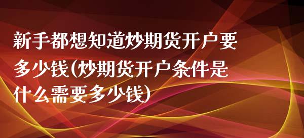 新手都想知道炒期货开户要多少钱(炒期货开户条件是什么需要多少钱)