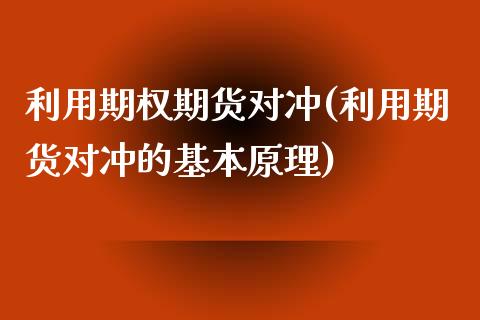 利用期权期货对冲(利用期货对冲的基本原理)