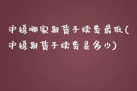 沪镍哪家期货手续费最低(沪镍期货手续费是多少)