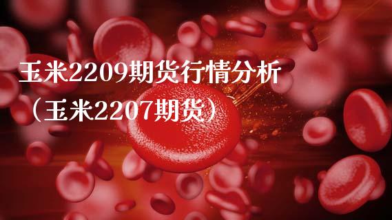 玉米2209期货行情分析（玉米2207期货）