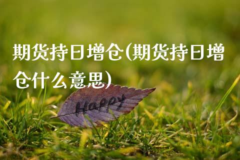 期货持日增仓(期货持日增仓什么意思)_https://www.boyangwujin.com_期货直播间_第1张