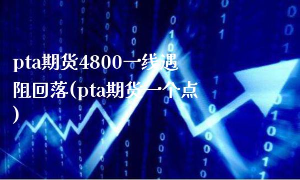 pta期货4800一线遇阻回落(pta期货一个点)