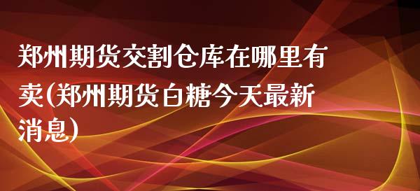 郑州期货交割仓库在哪里有卖(郑州期货白糖今天最新消息)