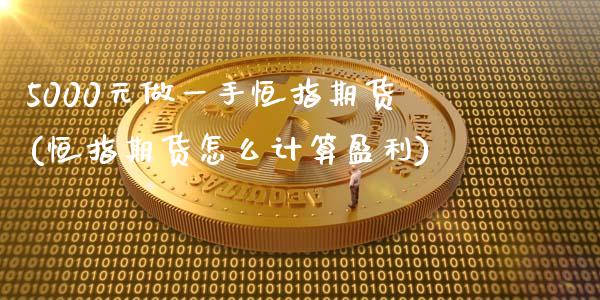 5000元做一手恒指期货(恒指期货怎么计算盈利)