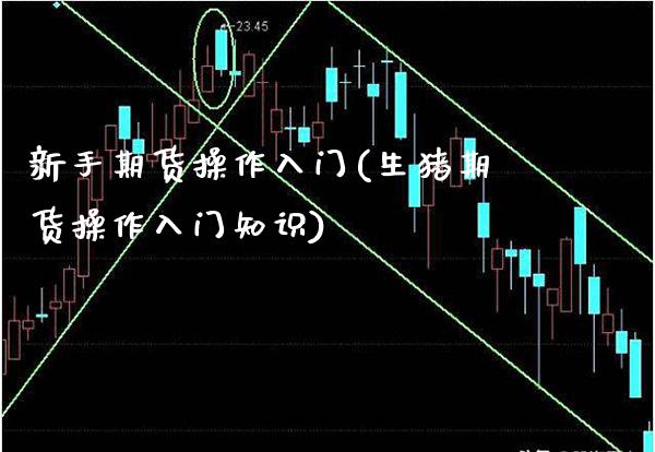 新手期货操作入门(生猪期货操作入门知识)