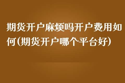 期货开户麻烦吗开户费用如何(期货开户哪个平台好)