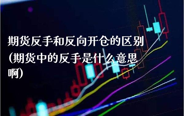 期货反手和反向开仓的区别(期货中的反手是什么意思啊)_https://www.boyangwujin.com_期货直播间_第1张