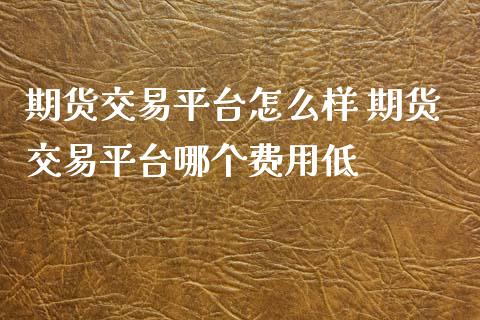 期货交易平台怎么样 期货交易平台哪个费用低_https://www.boyangwujin.com_期货直播间_第1张