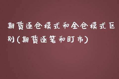 期货逐仓模式和全仓模式区别(期货逐笔和盯市)