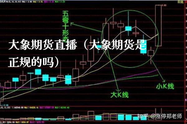 大象期货直播（大象期货是正规的吗）_https://www.boyangwujin.com_期货直播间_第1张