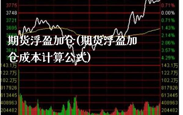 期货浮盈加仓(期货浮盈加仓成本计算公式)_https://www.boyangwujin.com_期货直播间_第1张