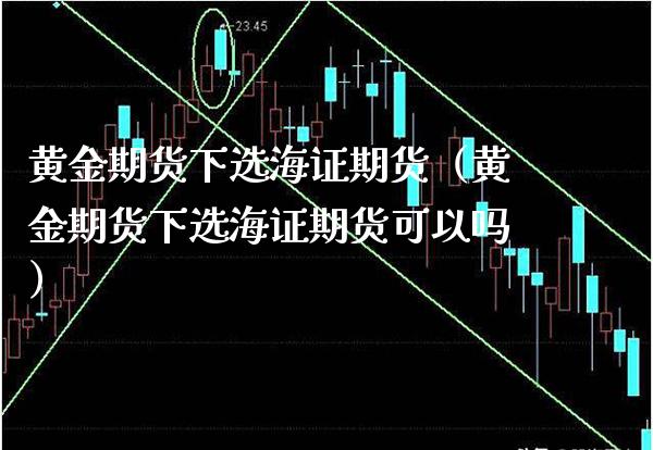 黄金期货下选海证期货（黄金期货下选海证期货可以吗）