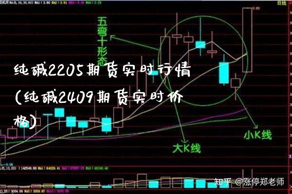 纯碱2205期货实时行情(纯碱2409期货实时价格)