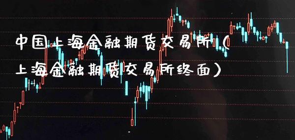 中国上海金融期货交易所（上海金融期货交易所终面）