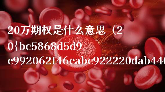 20万期权是什么意思（20%期权是什么意思）