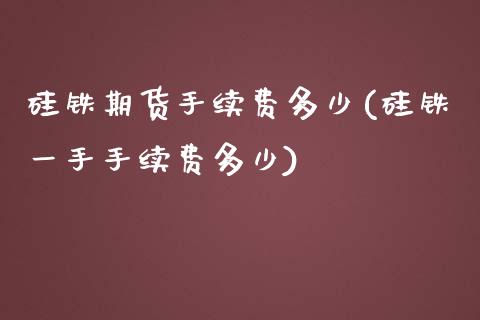 硅铁期货手续费多少(硅铁一手手续费多少)