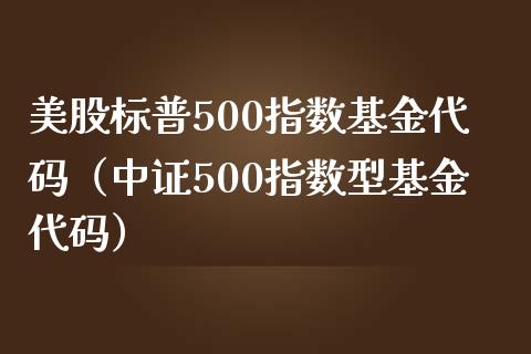 美股标普500指数基金代码（中证500指数型基金代码）