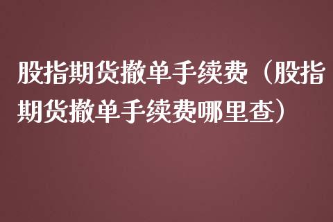 股指期货撤单手续费（股指期货撤单手续费哪里查）