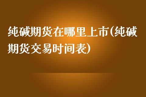 纯碱期货在哪里上市(纯碱期货交易时间表)