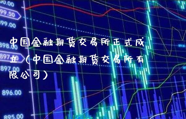 中国金融期货交易所正式成立（中国金融期货交易所有限公司）