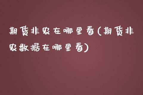 期货非农在哪里看(期货非农数据在哪里看)_https://www.boyangwujin.com_期货直播间_第1张