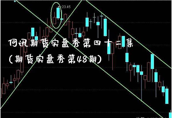 何讯期货实盘秀第四十二集(期货实盘秀第48期)