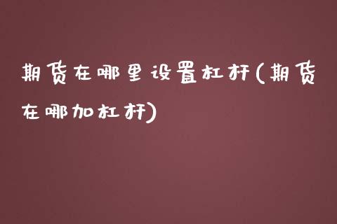 期货在哪里设置杠杆(期货在哪加杠杆)_https://www.boyangwujin.com_黄金期货_第1张