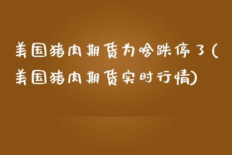 美国猪肉期货为啥跌停了(美国猪肉期货实时行情)