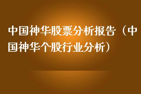 中国神华股票分析报告（中国神华个股行业分析）