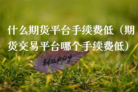 什么期货平台手续费低（期货交易平台哪个手续费低）