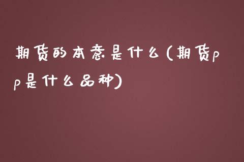 期货的本意是什么(期货pp是什么品种)_https://www.boyangwujin.com_白银期货_第1张