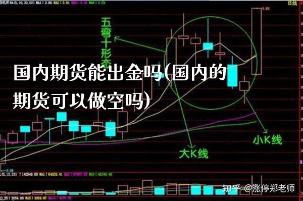 国内期货能出金吗(国内的期货可以做空吗)