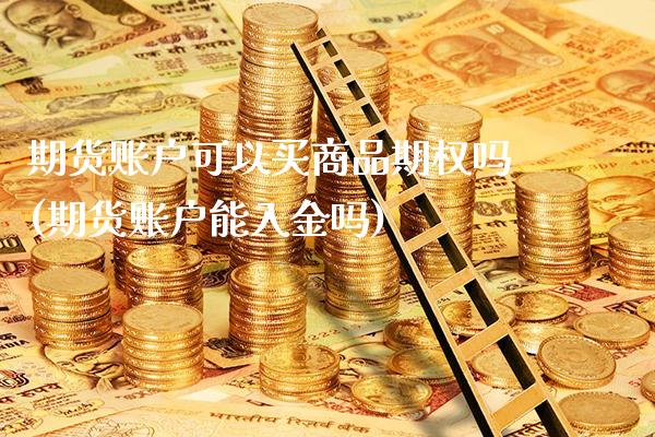 期货账户可以买商品期权吗(期货账户能入金吗)