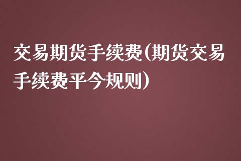 交易期货手续费(期货交易手续费平今规则)