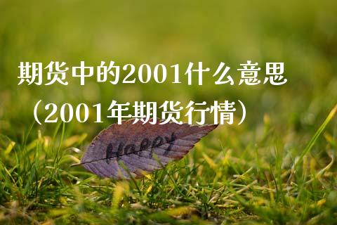 期货中的2001什么意思（2001年期货行情）