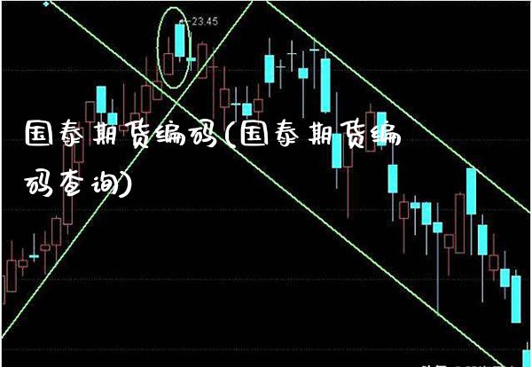 国泰期货编码(国泰期货编码查询)