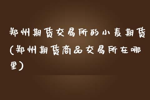 郑州期货交易所的小麦期货(郑州期货商品交易所在哪里)_https://www.boyangwujin.com_期货直播间_第1张