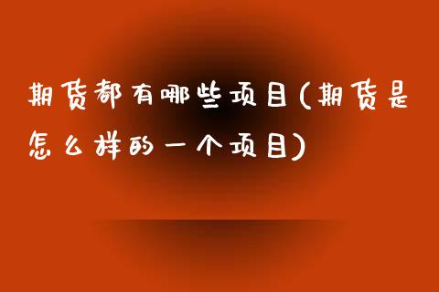 期货都有哪些项目(期货是怎么样的一个项目)_https://www.boyangwujin.com_期货直播间_第1张