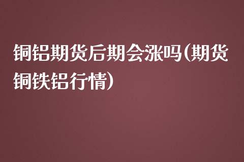 铜铝期货后期会涨吗(期货铜铁铝行情)